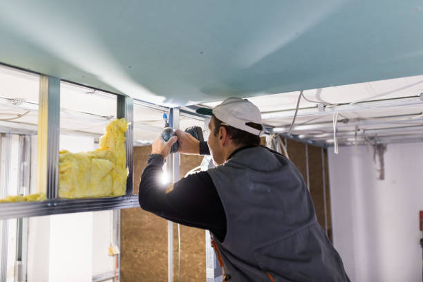 Best Eco-Friendly Insulation in North Bend, OH